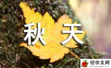 实用的秋天的枫树作文锦集6篇
